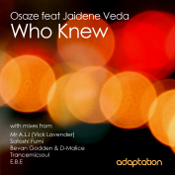 Osaze featuring Jaidene Veda - Who knew