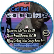 Cei Bei featuring Aphreme - Where did our love go