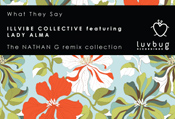 Illvibe Collective featuring Lady Alma - What they say