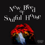 Various - New Breed of Soulful House