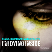 Groove Junkies featuring Diane Carter - I'm dying inside