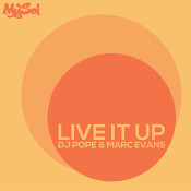 DJ Pope & Marc Evans - Live it up