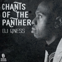 DJ Qness - Chants of the panther