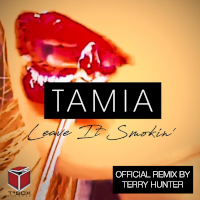 Tamia - Leave it smokin' (Terry Hunter Remix)