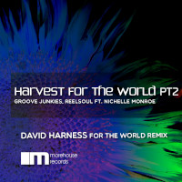 Groove Junkies & ReelSoul featuring Nichelle Monroe - Harvest for the world (Part 2)