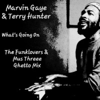 Marvin Gaye & Terry Hunter - What's going on (The Funklovers & Mus Threee Ghetto Mix)