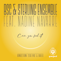 BSC & Sterling Ensemble featuring Nadine Navarre - Can you feel it