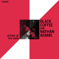 Black Coffee & Nathan Adams - Afraid of the dark