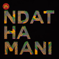 P.M Project featuring Gaone Rantlhoiwa - Ndathamani