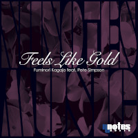 Fuminori Kagajo featuring Pete Simpson - Feels like gold