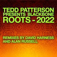 Tedd Patterson presents Blackbone - Roots (2022 Remixes)