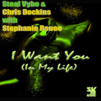 Steal Vybe & Chris Dockins with Stephanie Renee - I want you (in my life)