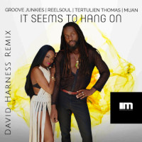 Groove Junkies & ReelSoul & Tertulien Thomas & Mijan - It seems to hang on (David Harness Remixes)