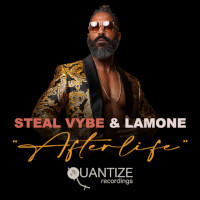 Steal Vybe & Lamone - Afterlife