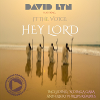 David Lyn featuring JTtheVoice - Hey lord