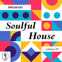 Various - Soulful House Volume 03