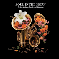 Soul in the Horn Act 4: Remixes & Bonuses