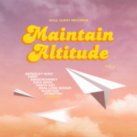 Various - Maintain Altitude 2
